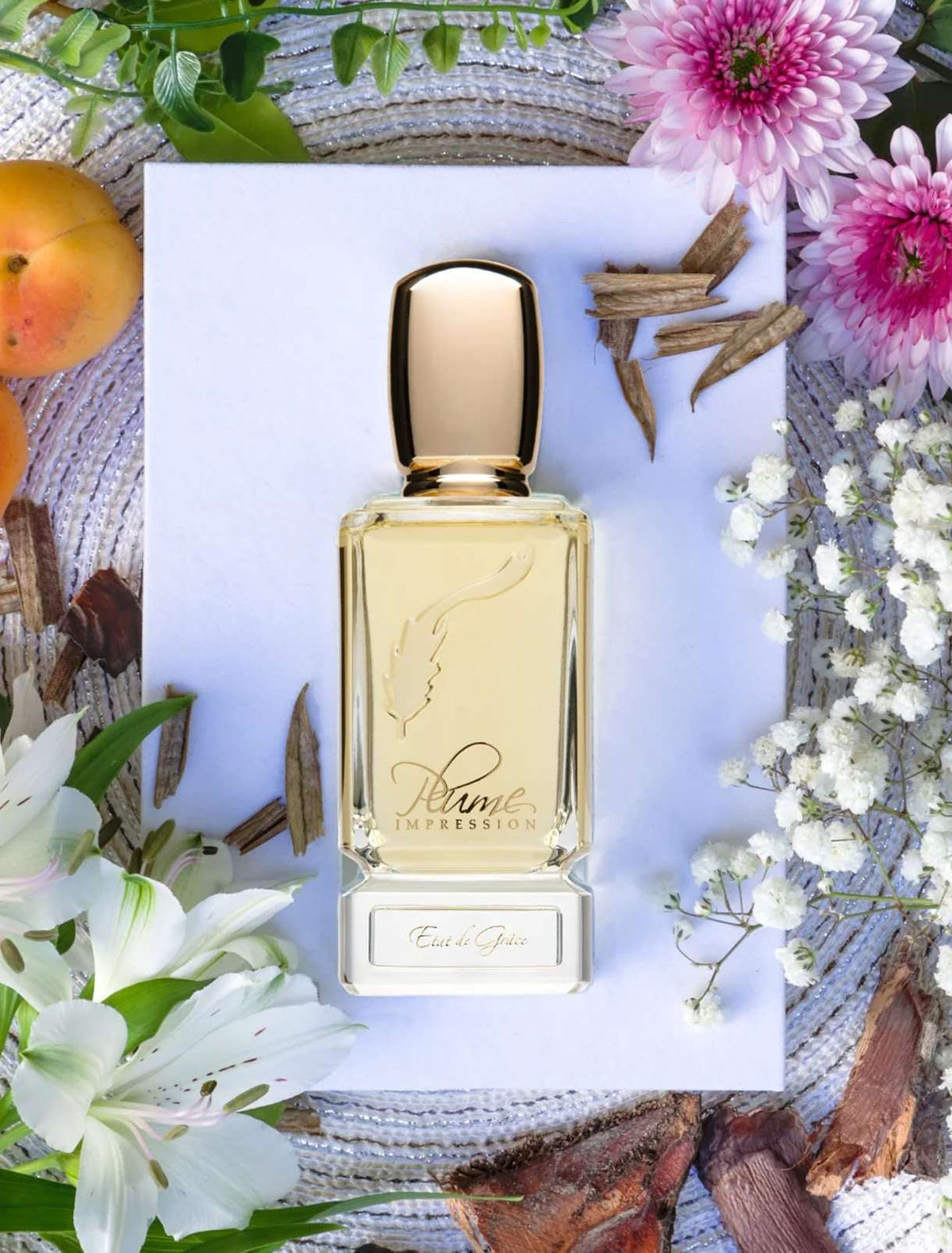 Plume Impression Etat de Grace