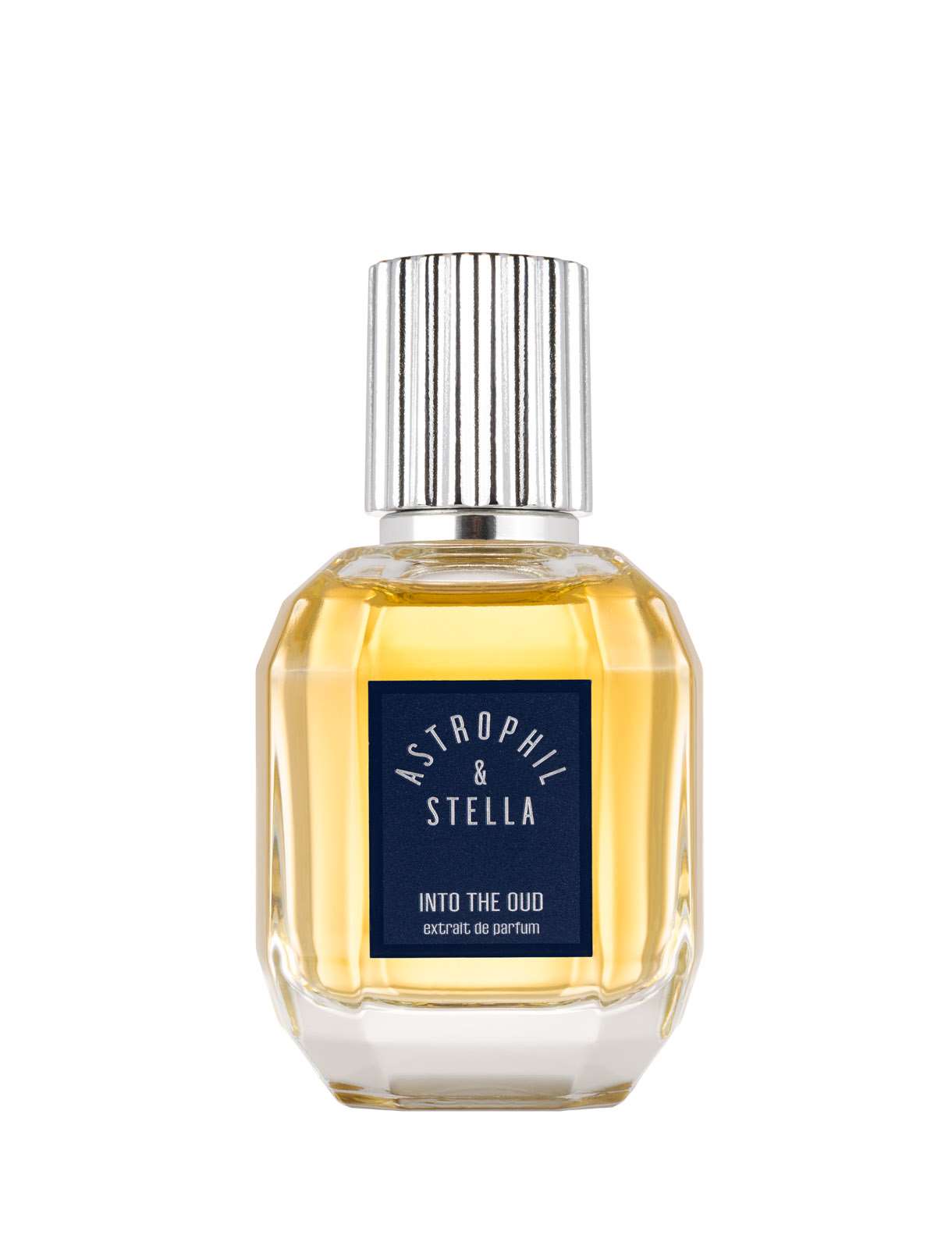 Astrophil & Stella Into The Oud