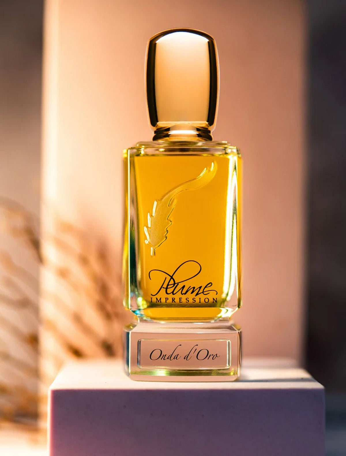 Plume Impression Onda d'Oro
