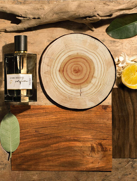 L'Orchestre Parfum Piano Santal